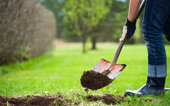 Person digging a hole in a grassy area